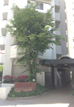 名古屋経理事務所
